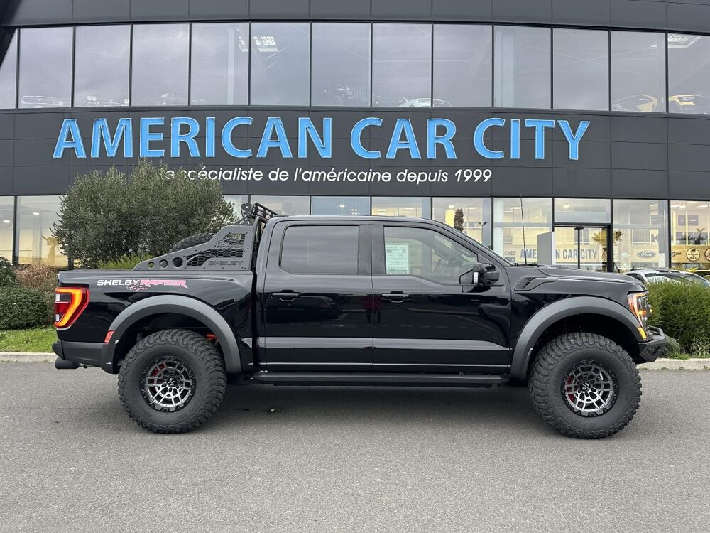 Divers Raptor Shelby Baja 2024 occasion 91830 Le Coudray-Montceaux