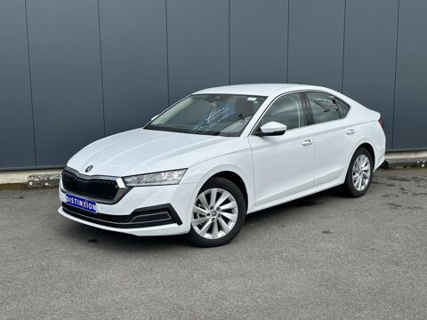 Skoda Octavia 2.0 TDI 115 Ambition avec Caméra de recul 2024 occasion Fougères 35300