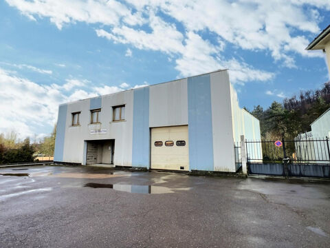   Local d'activité - Dépôt/Bureau - 440m2 - BETTING - 3500€/mois HT/HC 