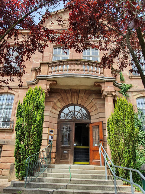   Bureaux neufs à louer - 250 m2 - Freyming-Merlebach 