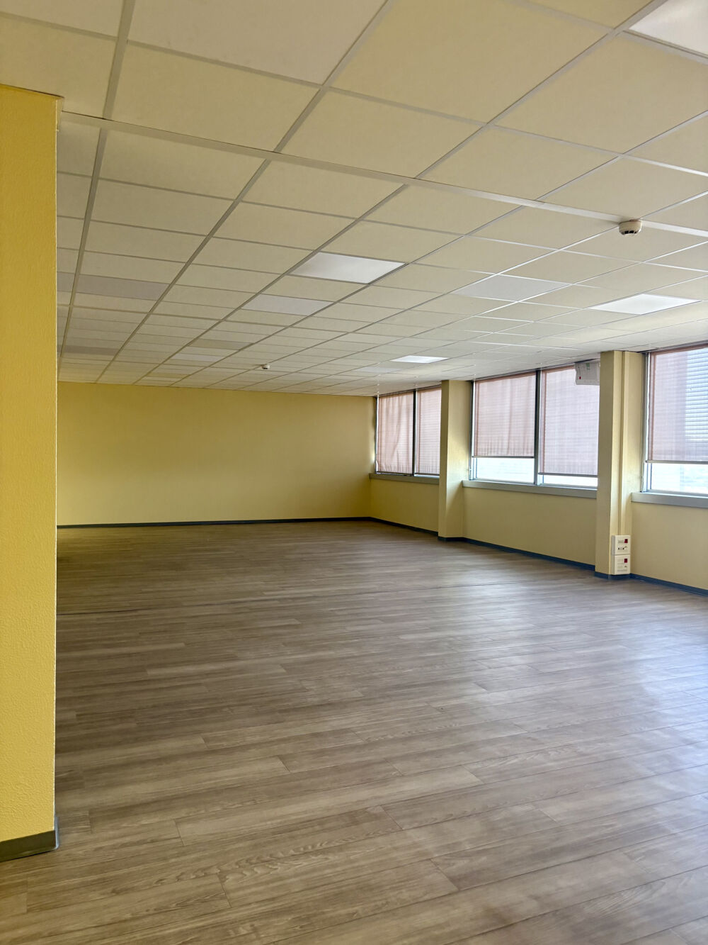   Bureaux à louer - 530 m2 Nancy