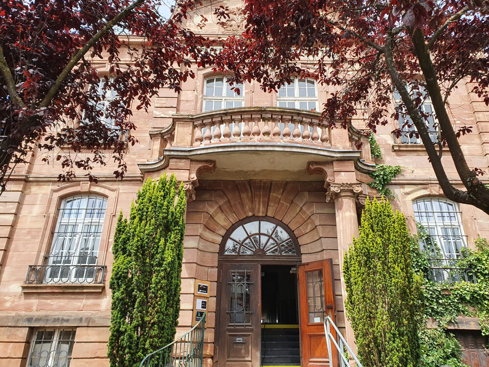  Bureaux neufs à louer - 250 m2 - Freyming-Merlebach 