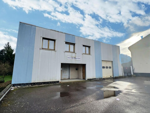 Local d'activit&eacute; - D&eacute;p&ocirc;t/Bureau - 440m2 - BETTING - 3500€/mois HT/HC 3500 57800 Betting