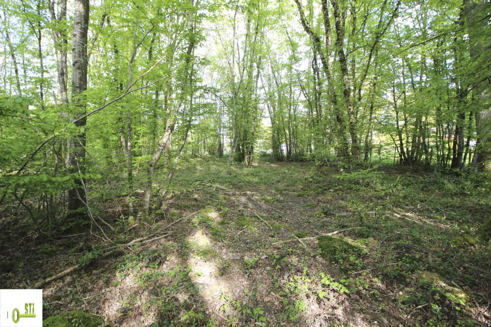Vente Terrain Terain à bâtir Melleroy