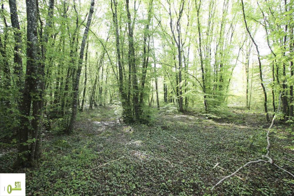 Vente Terrain Terain à bâtir Melleroy