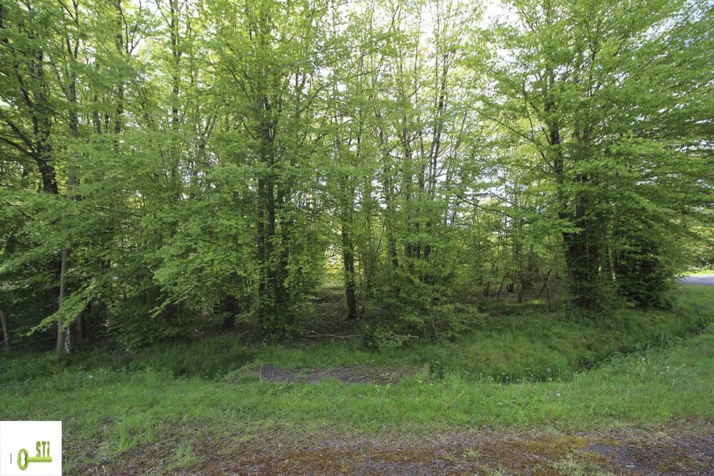 Vente Terrain Terain à bâtir Melleroy