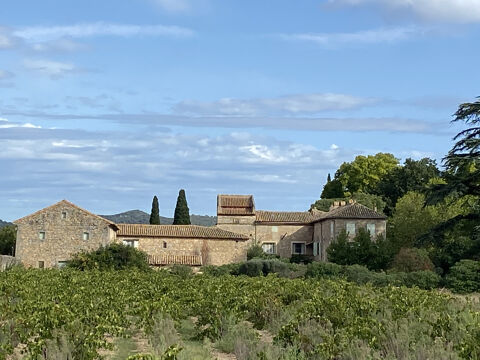   Ancienne proprit viticole Proprit/chteau - 8 pice(s) - 370 m