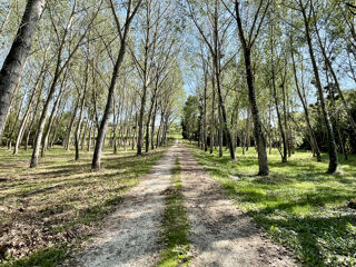  Maison  vendre 10 pices 270 m