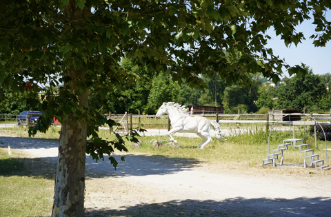HARAS DU MAS DE MEYRIE 1600000 38300 Meyrie