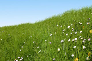  Terrain � vendre 600 m�