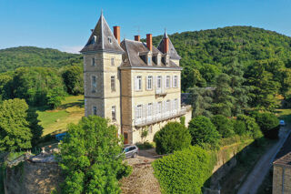  Propriété/château à vendre 15 + pièces 463 m²