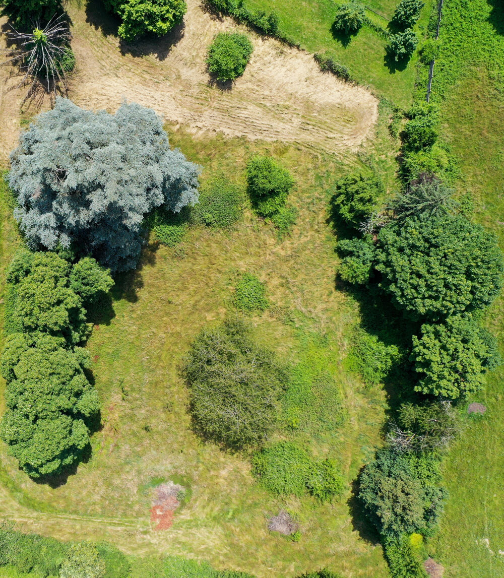 Vente Terrain Magnifique terrain à bâtir de 4841m2 sur les hauteur de Pusignan Pusignan