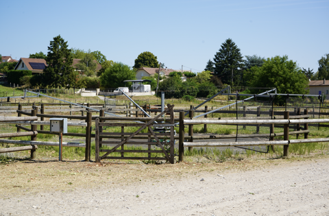   HARAS DU MAS DE MEYRIE 