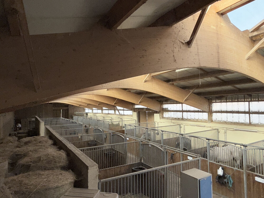 HARAS MEYRIE 2 PIÈCES 49358 M2