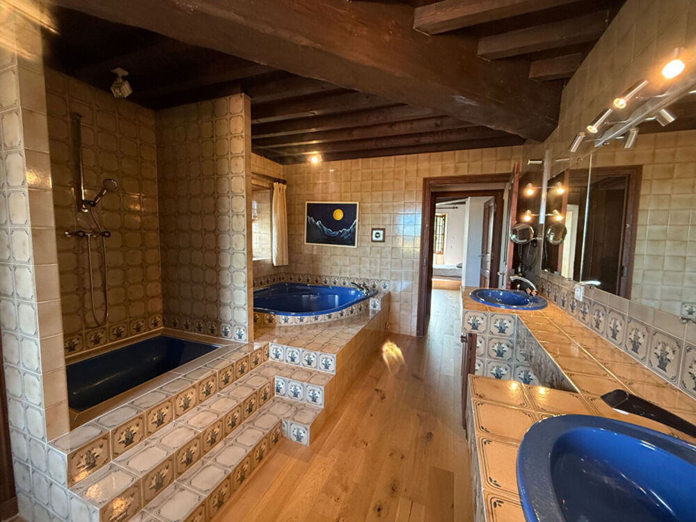 � vendre  Propri�t�/ch�teau Faramans (38260)