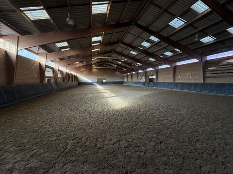   HARAS DU MAS DE MEYRIE 