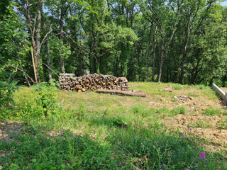  Terrain à vendre 953 m²