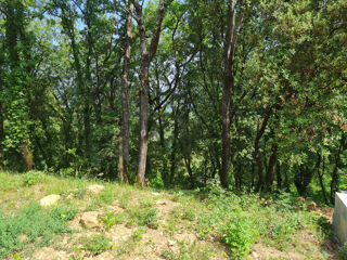  Terrain à vendre 953 m²