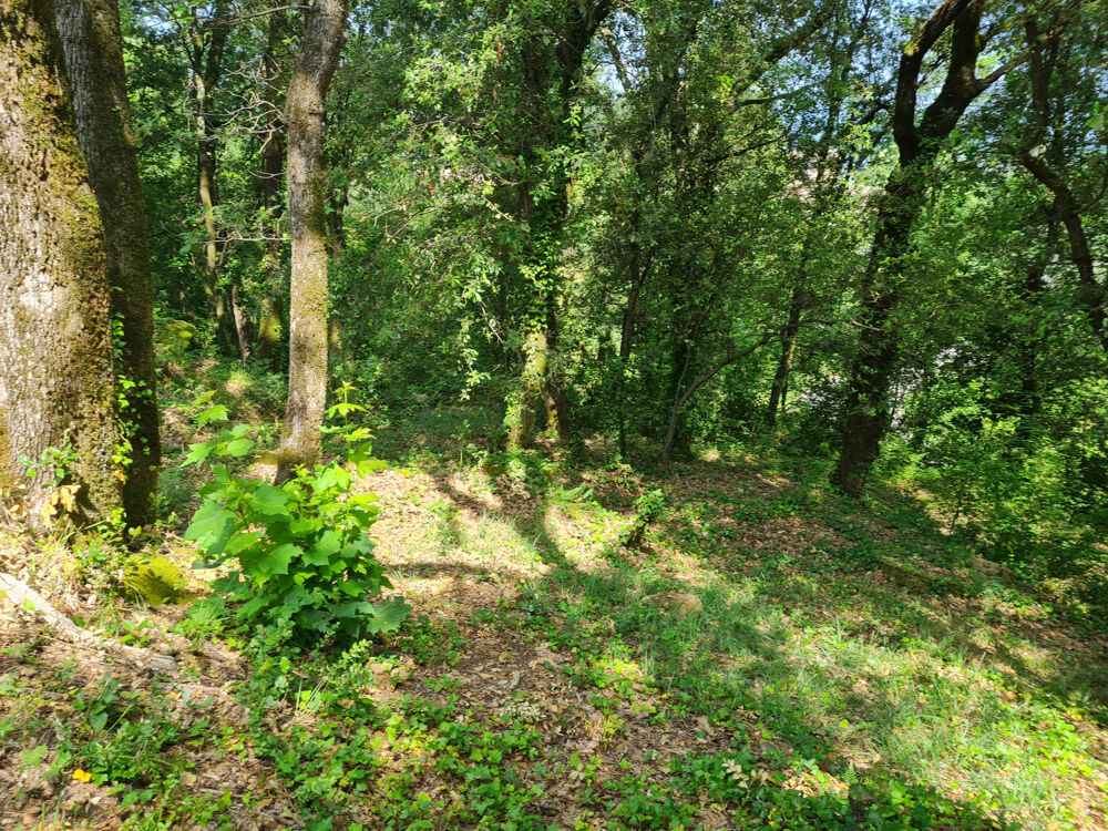 Vente Terrain Terrain constructible à Saint Jean du Gard St jean du gard