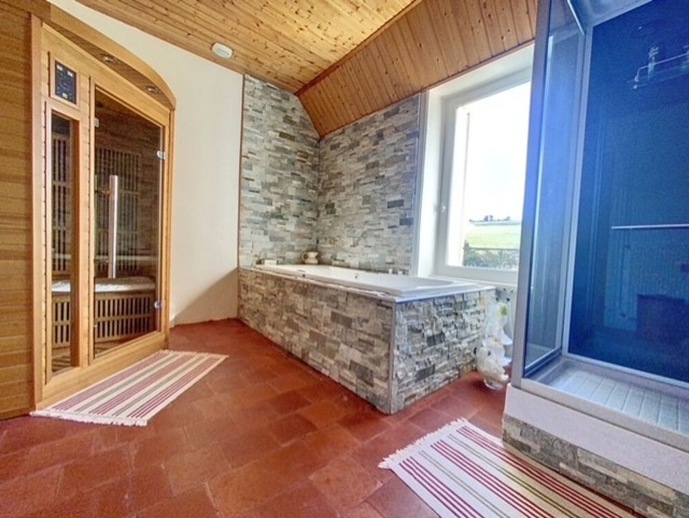  vendre  Proprit/chteau Saint-Julien-Molin-Molette (42220)