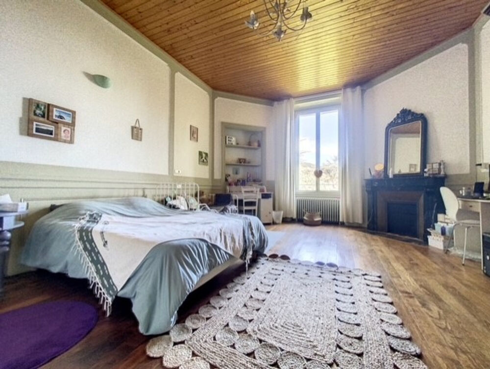  vendre  Proprit/chteau Saint-Julien-Molin-Molette (42220)