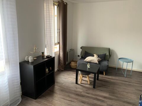 Location Appartement 525 Lille (59800)