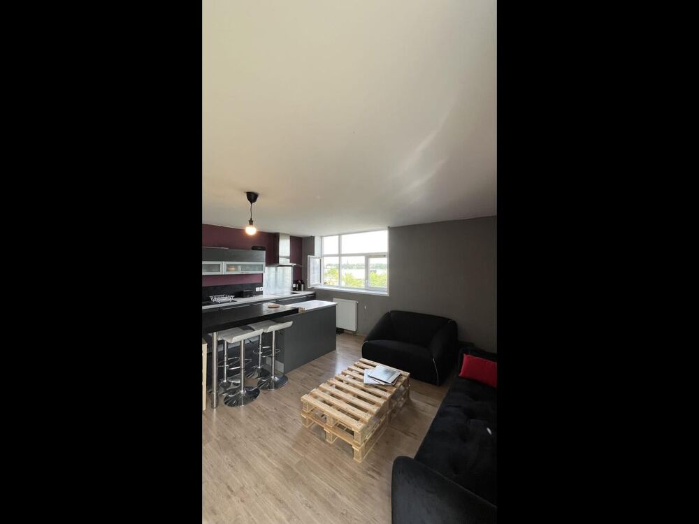 location Appartement - 3 pice(s) - 84 m Lille (59800)