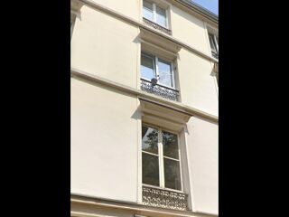  Appartement  louer 1 pice 24 m