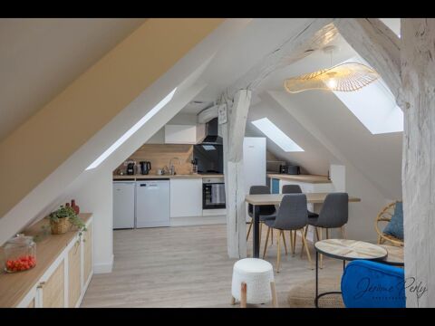Location Appartement 500 Orlans (45000)
