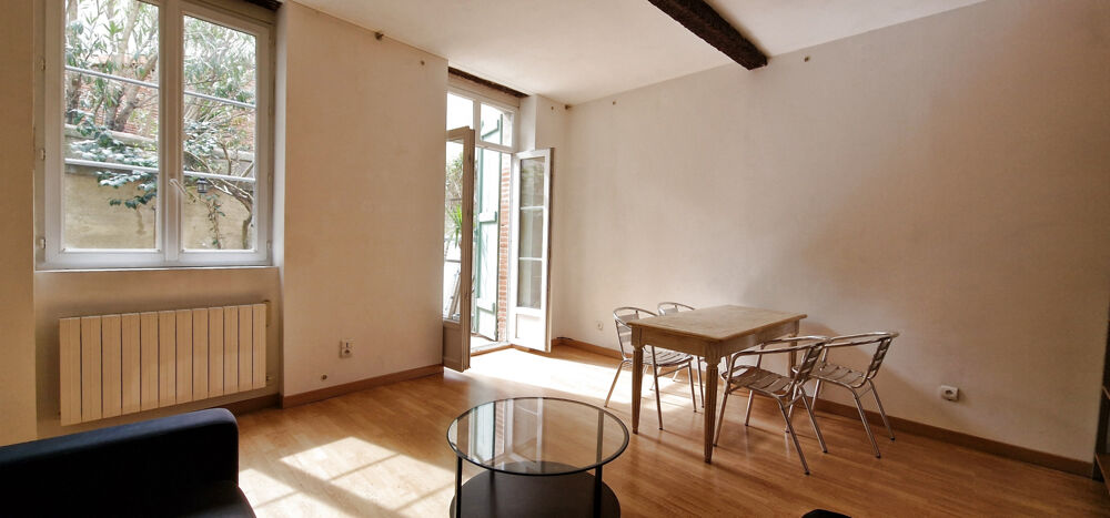 Location Appartement Les Carmes - Appartement meubl de caractre avec jardin Toulouse