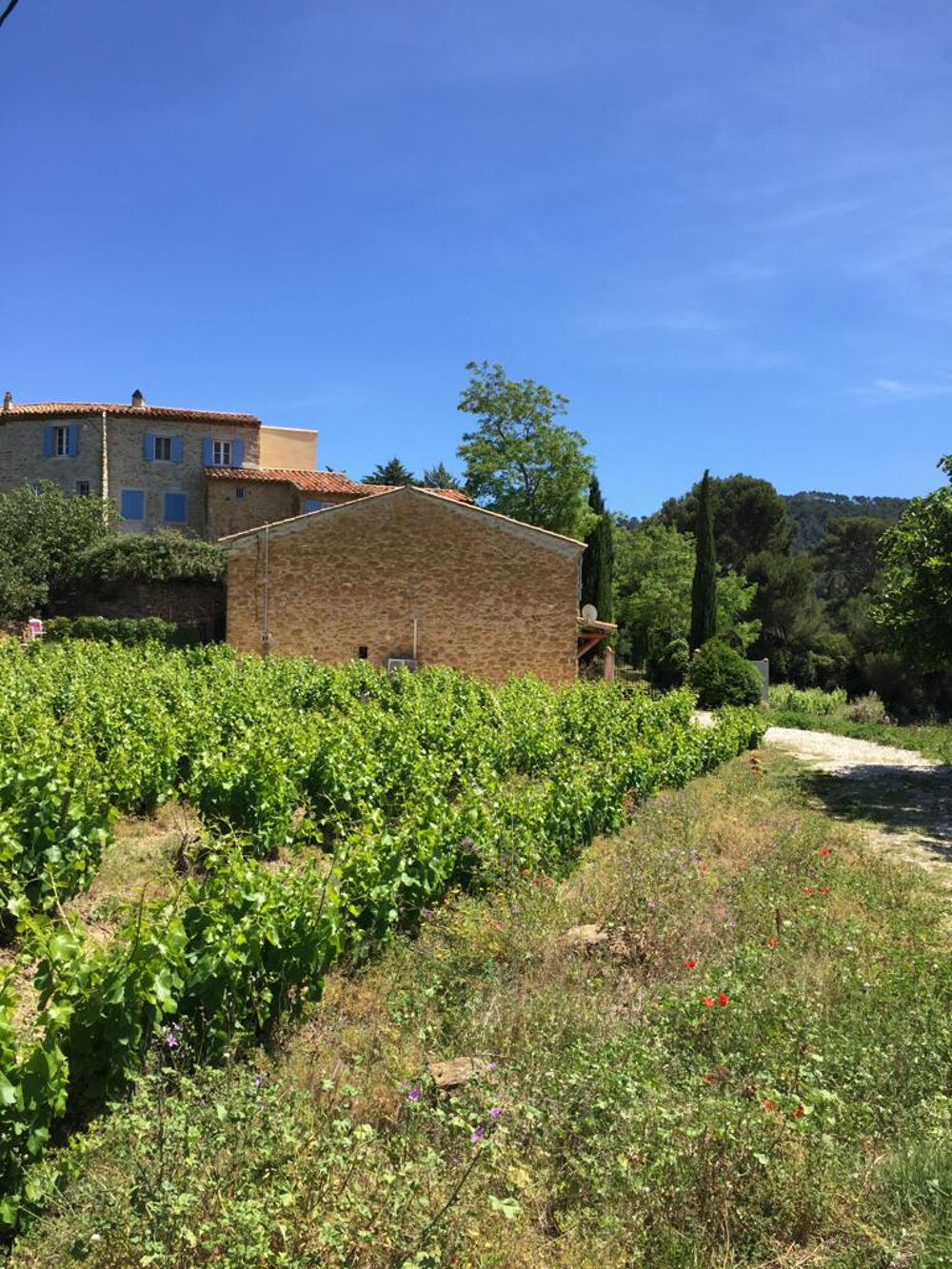 Vente Proprit/Chteau Saint-Cyr-sur-Mer : Domaine viticole avec proprit btie Saint cyr sur mer