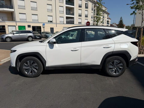 Tucson 1.6 T-GDI 230 Hybrid BVA6 Business 2024 occasion 77177 BROU SUR CHANTEREINE