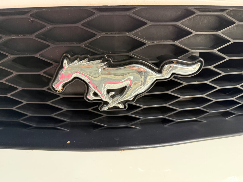 Mustang V8 300 cv GT CS 2008 occasion 50100 Cherbourg-en-Cotentin