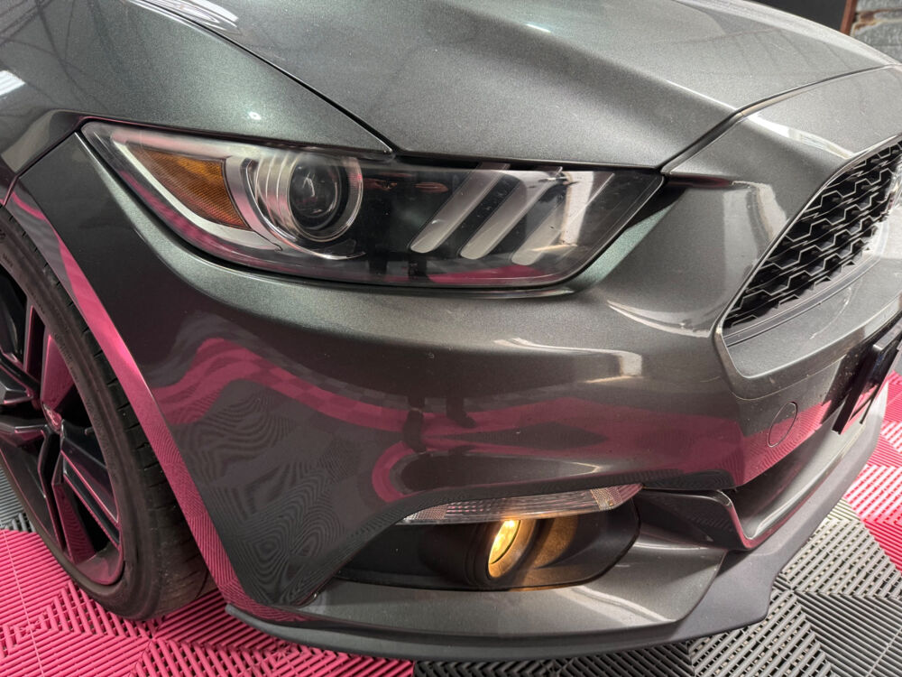 Mustang 314 CV 2016 occasion 50100 Cherbourg-en-Cotentin