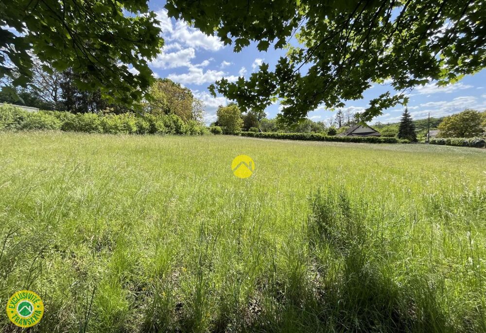 Vente Terrain Terrain constructible 3 065m² Châteauneuf sur cher