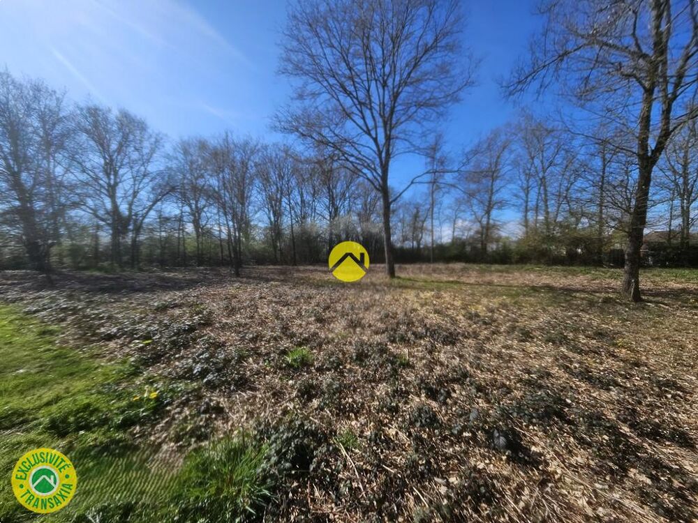 Vente Terrain terrain possibilité de diviser La guerche sur l'aubois