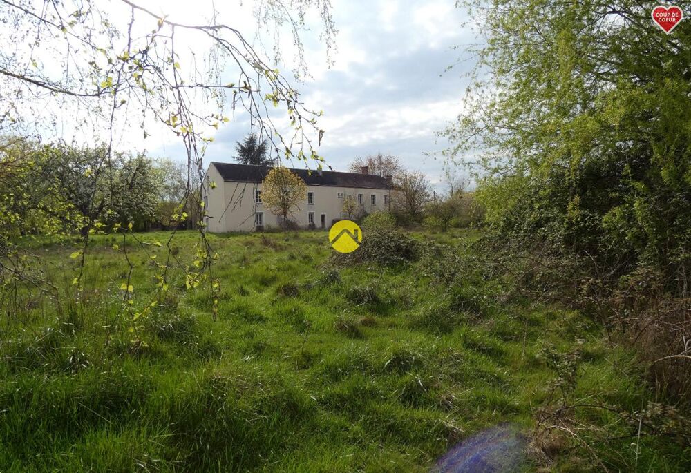 Vente Terrain PPRPRIETE sur 25  HA (environ) Coullons