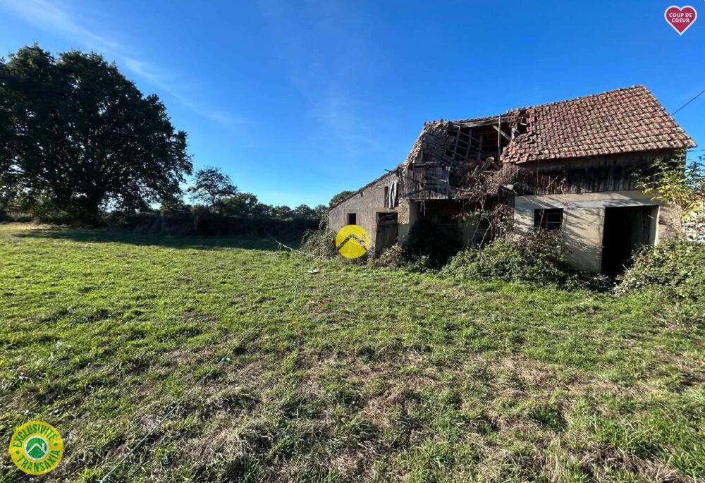 Vente Maison Maison + dépendance sur 1 ha Lurcy-lévis