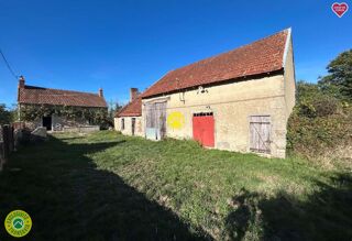 Vente Maison Maison + dépendance sur 1 ha Lurcy-lévis