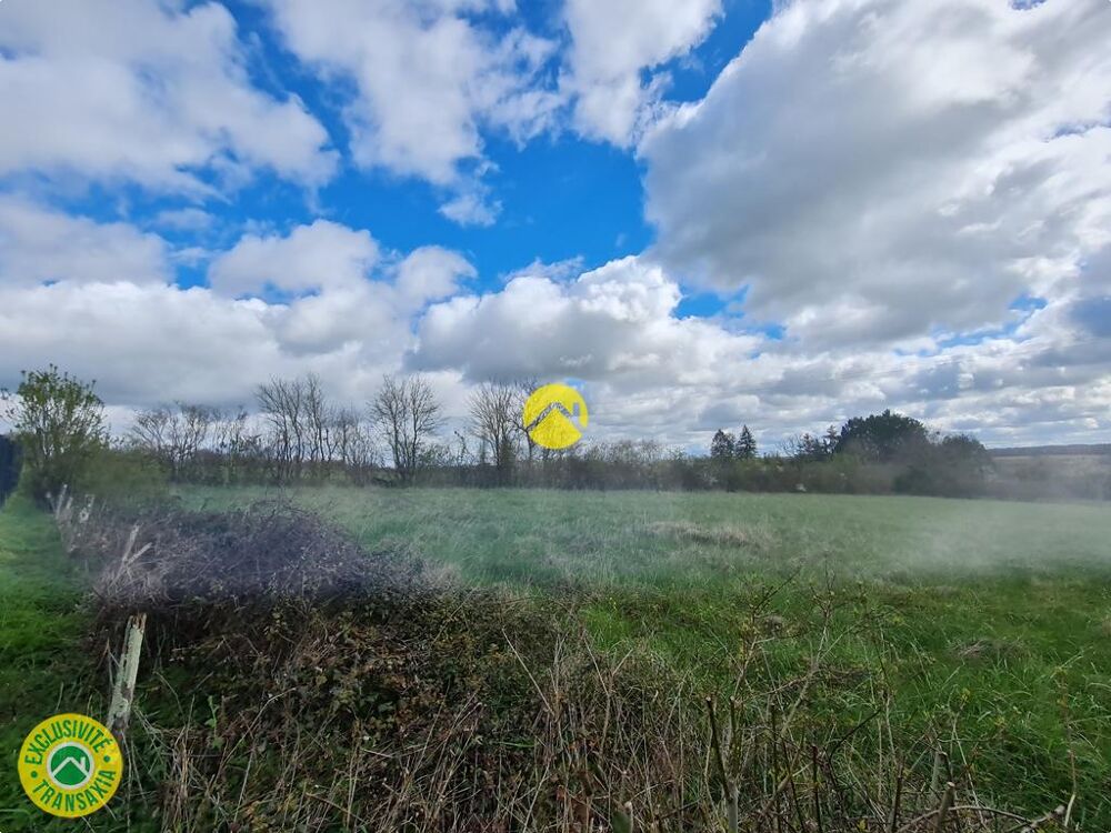 Vente Terrain terrain à bâtir 3579M² Nerondes