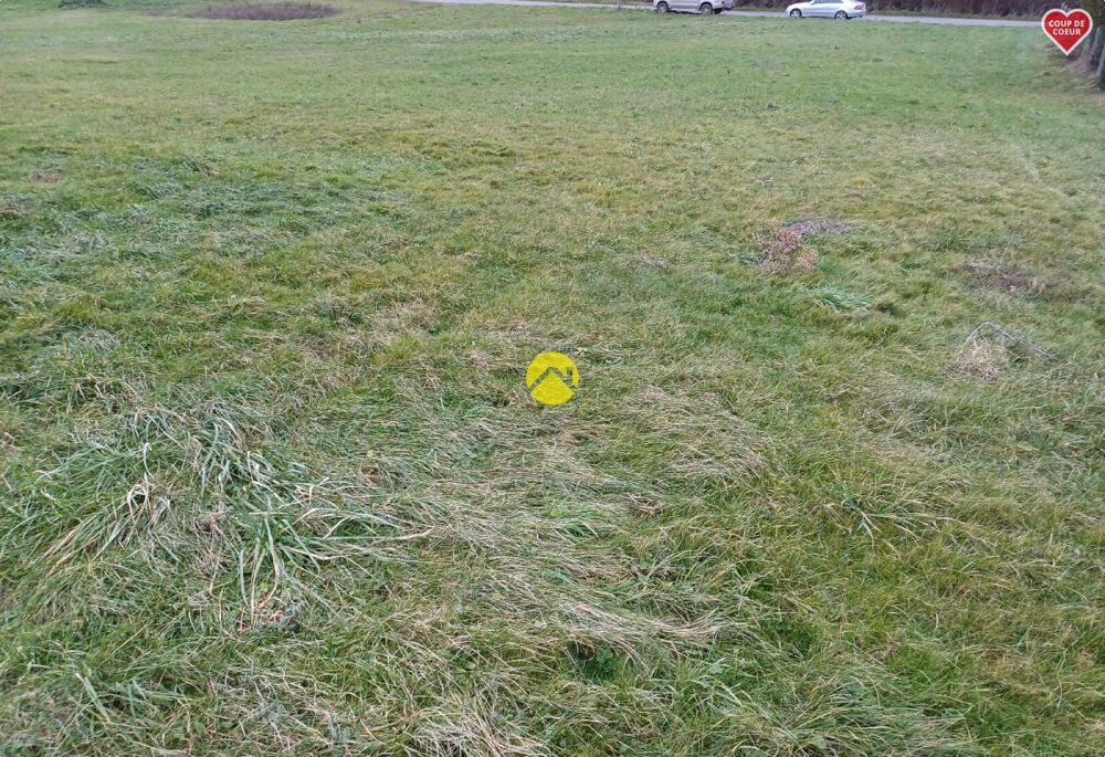 Vente Terrain TERRAIN CONSTRUCTIBLE 1400 M2 Charost