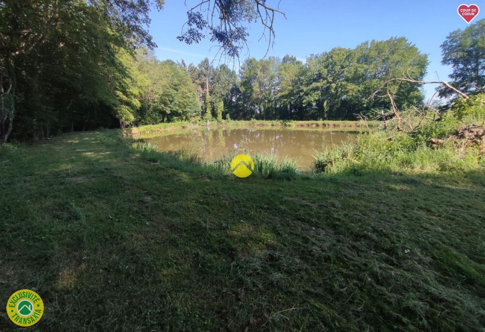 Vente Terrain Étangs à l'abris des regards ! Aubigny sur nere
