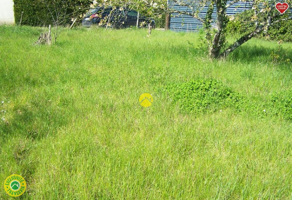Vente Terrain TERRAIN DE LOISIRS C.U.POSITIF St florent sur cher