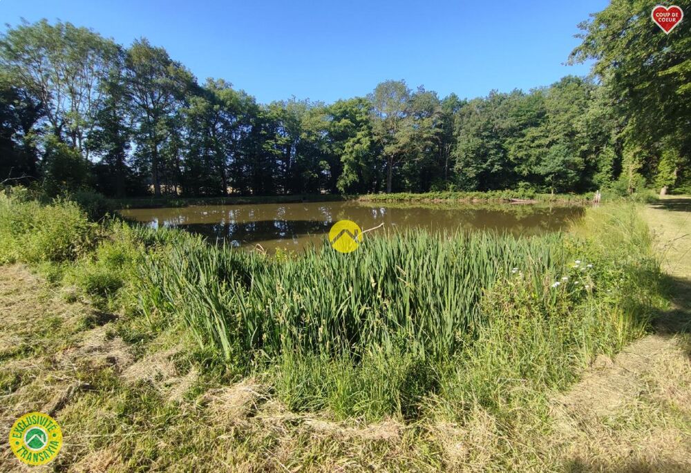 Vente Terrain Étangs à l'abris des regards ! Aubigny sur nere