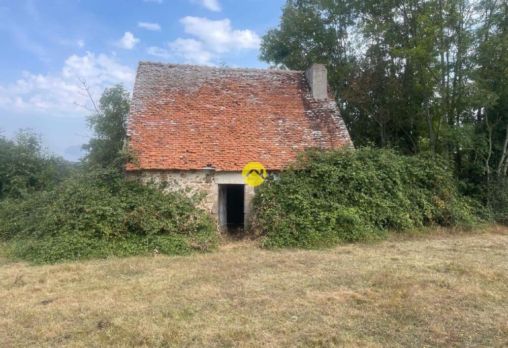Vente Maison 2 biens  à restaurer Bourbon l'archambault