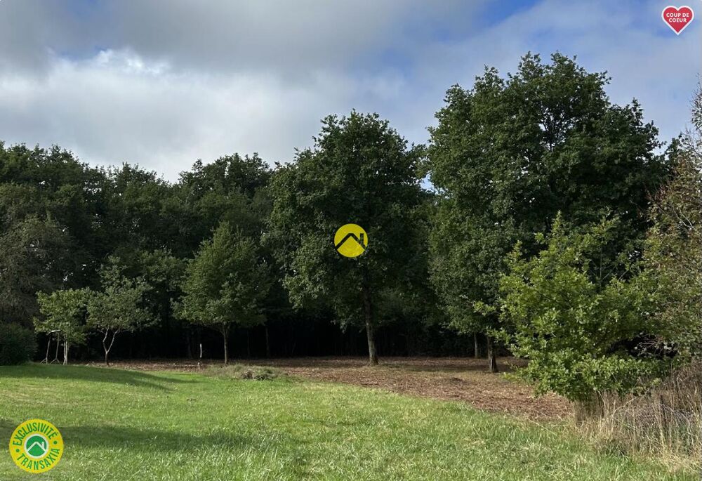 Vente Terrain TERRAIN A BATIR La guerche-sur-l'aubois