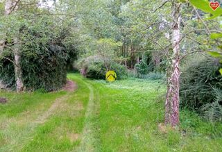  Terrain à vendre 11500 m²