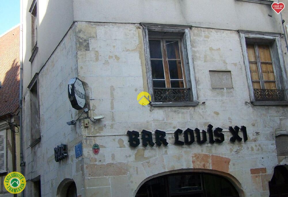 Vente Appartement INVESTISSEUR  IMMEUBLE + COMMERCE Bourges