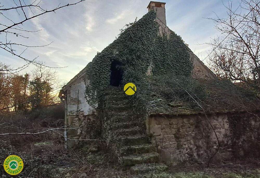 Maison avec grand jardin