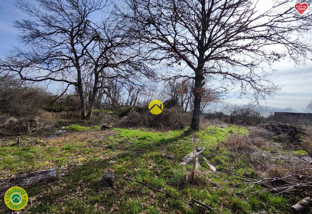 Vente Terrain TERRAIN A BATIR Jouet-sur-l'aubois